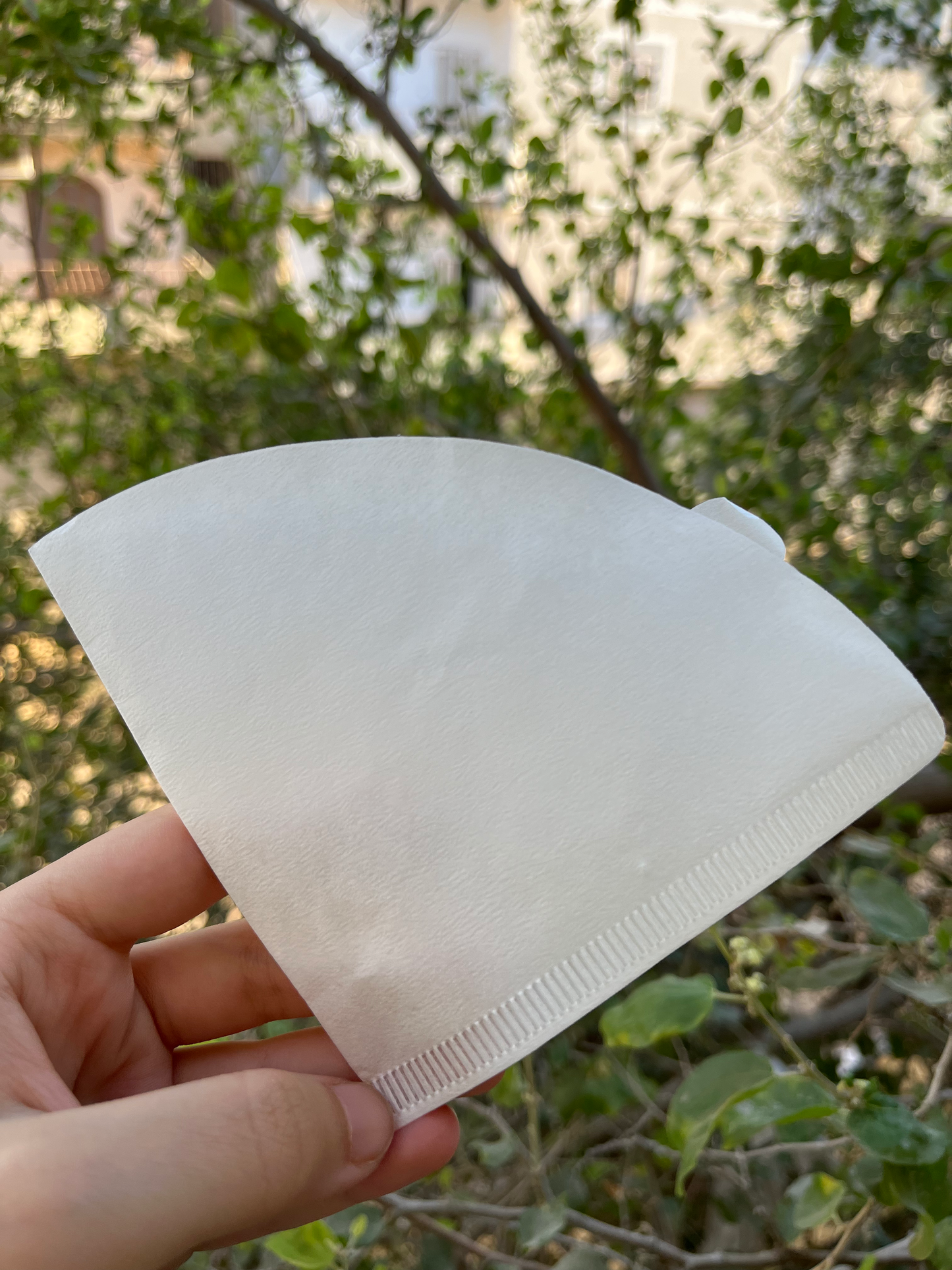 V60 professional set